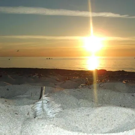 Beautiful In With Garden Near Sea Rerik