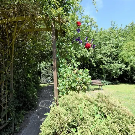 Apartament Beautiful In With Garden Near Sea