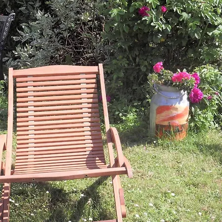 Beautiful In With Garden Near Sea Rerik